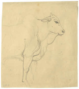 Visualizza l'immagine "FD D 165"